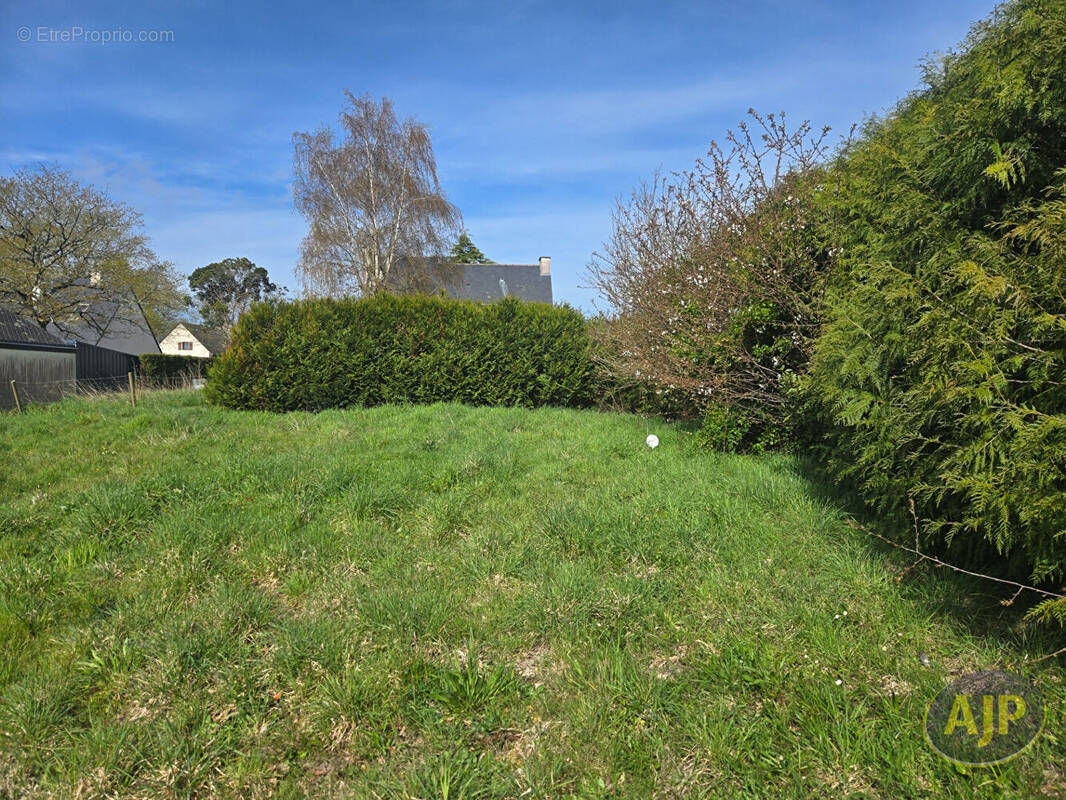 Terrain à HERBIGNAC