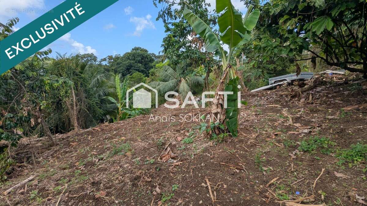 Photo 3 - Terrain à RIVIERE-SALEE