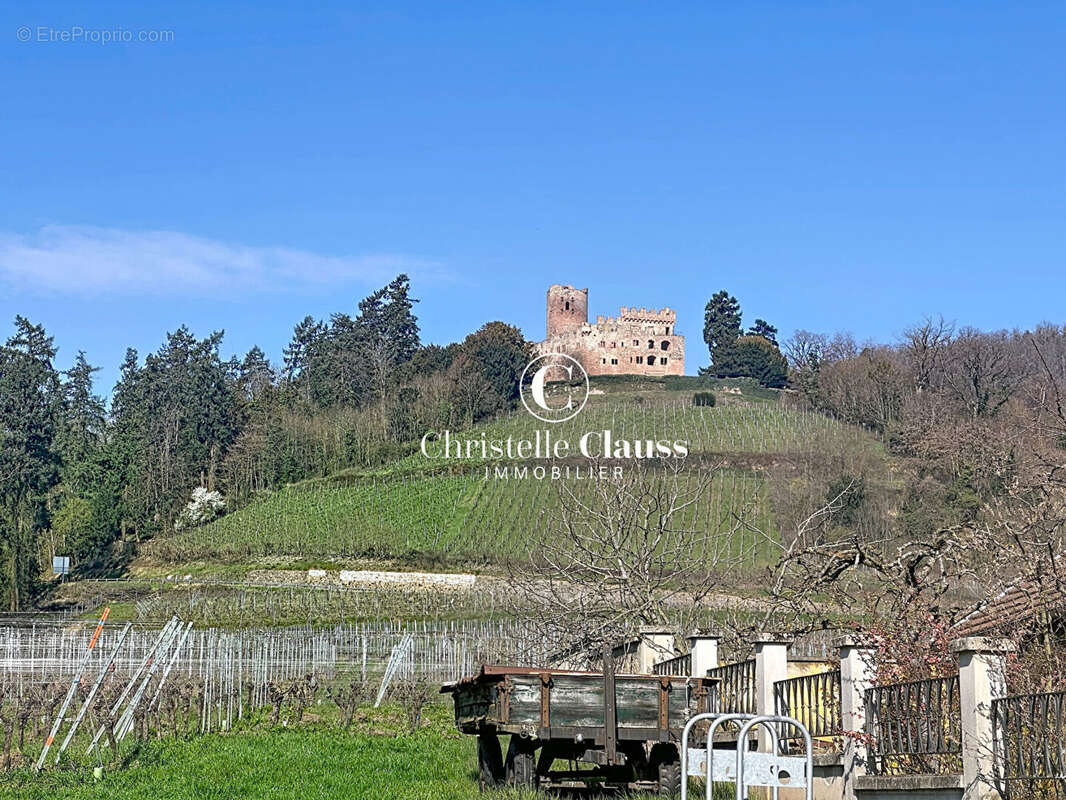 Maison à KINTZHEIM