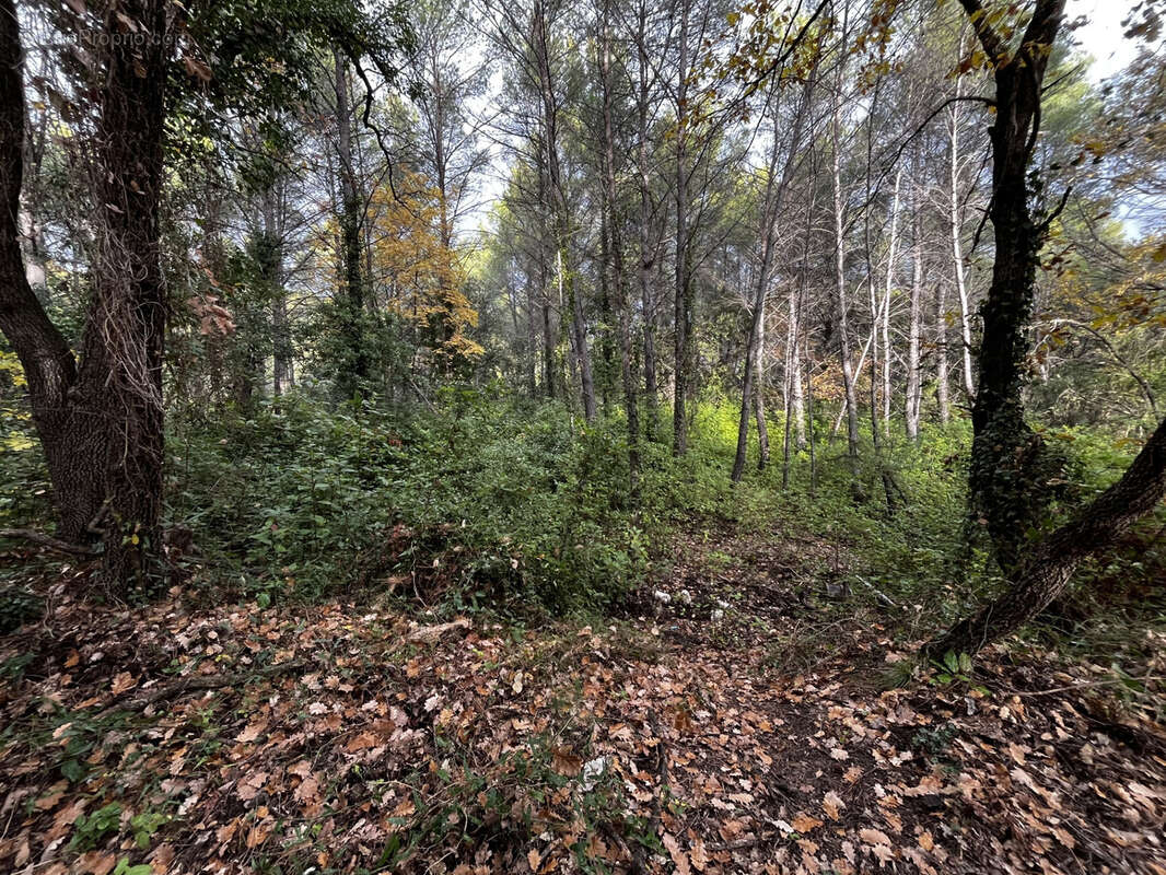 Terrain à DRAGUIGNAN