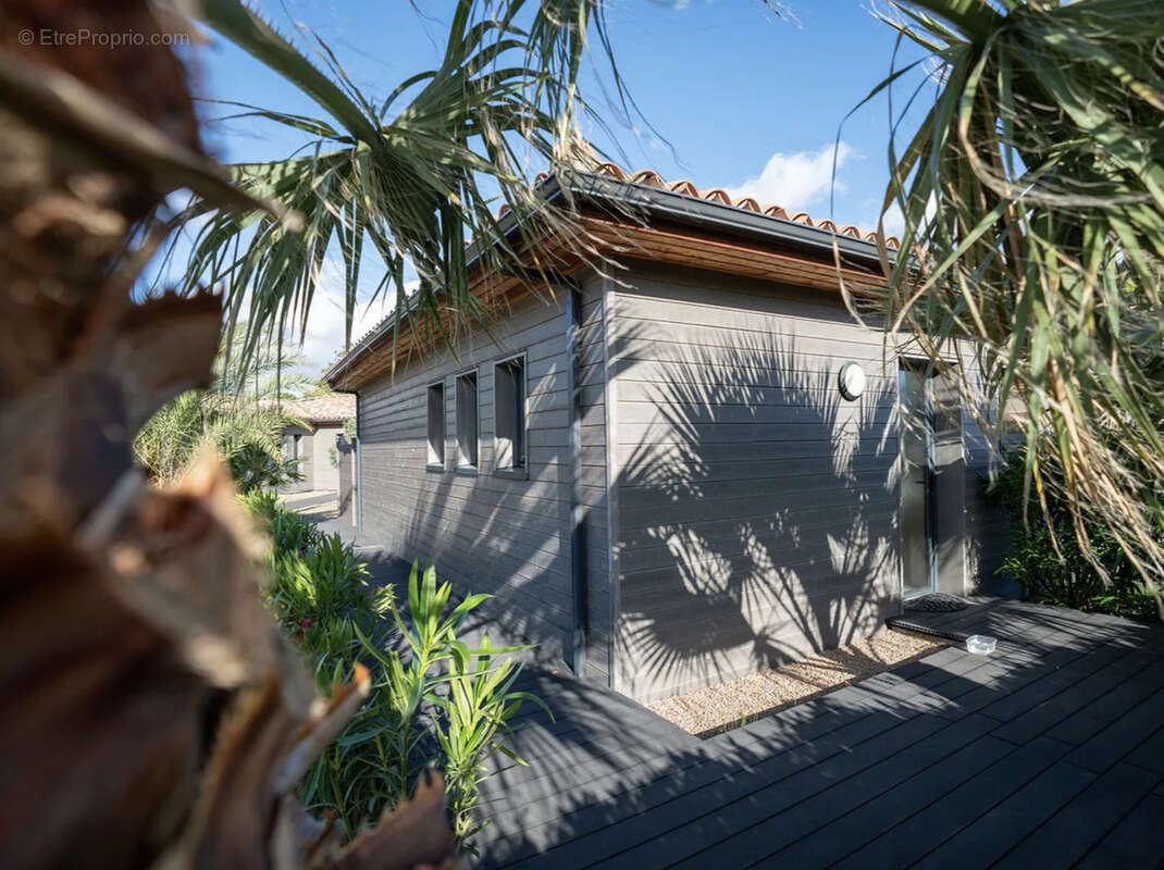 Investissement Corse Cala Rossa - photo 5