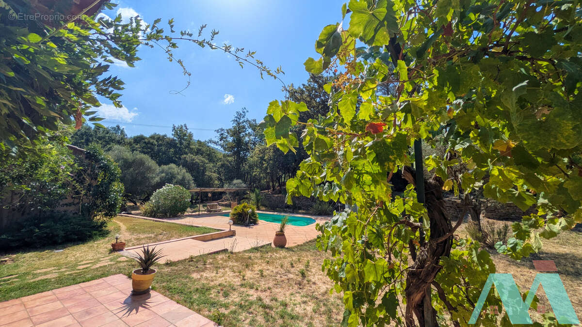 Propriété d'exception sur 3ha - deux maisons T3 et T5 - PISCINE - photo 8