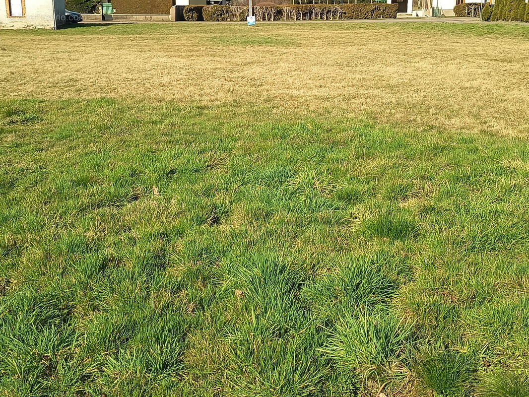 Terrain à MALBOUHANS