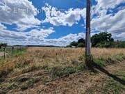Terrain à CHATILLON-SUR-CHER