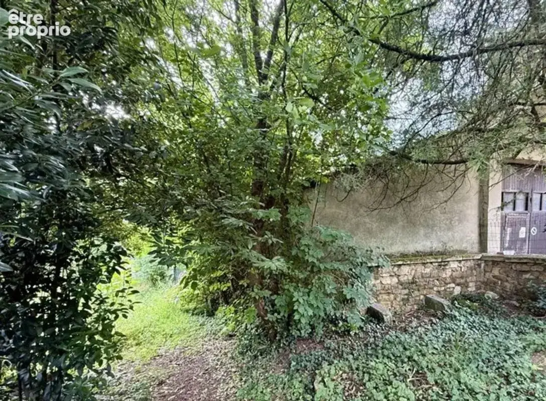 Grande maison de caractère - avec jardin et boutique à Thiviers - photo 21