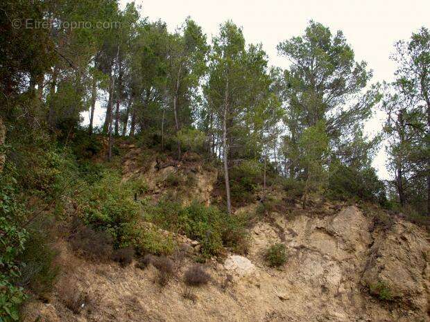 Terrain à VILLESEQUE-DES-CORBIERES