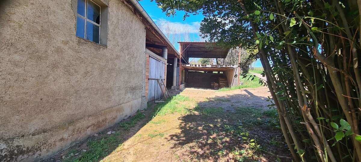 Maison à MONTREDON-LABESSONNIE