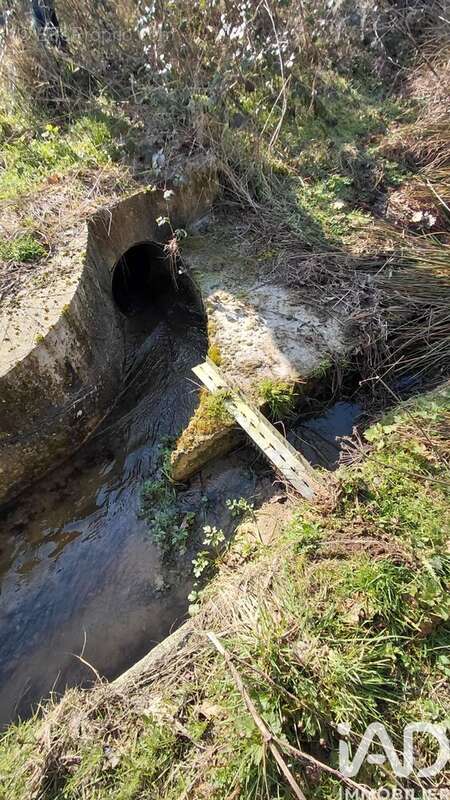 Photo 9 - Terrain à SAINT-PRIEST-LA-FEUILLE