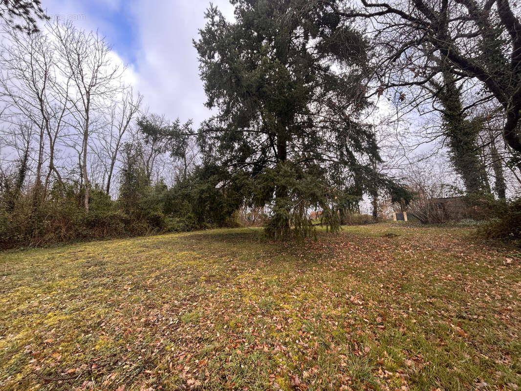 Terrain à LE PONT-CHRETIEN-CHABENET