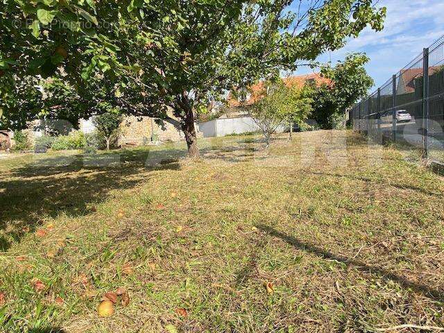 IMG_5314 - Terrain à SAINT-VRAIN