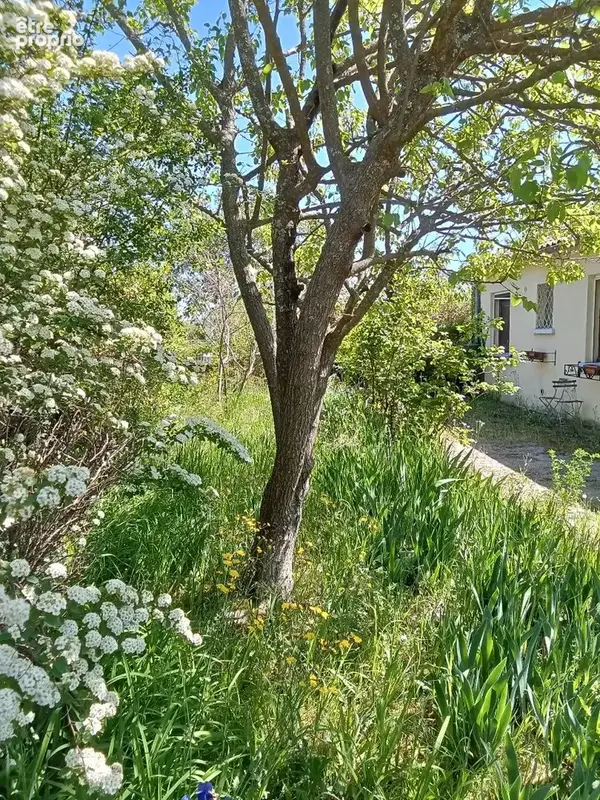 Villa de plain-pied avec grand jardin-Environnement calme et ensoleillé - photo 19