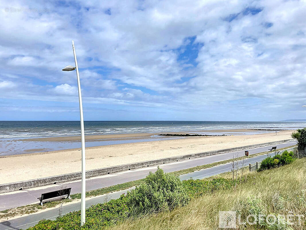 Appartement 2 pieces cabourg - 24.09 m2 - avec jardin - photo 14