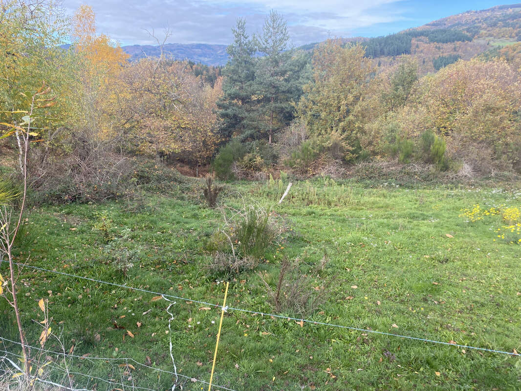Terrain artisanal + agricole - photo 3