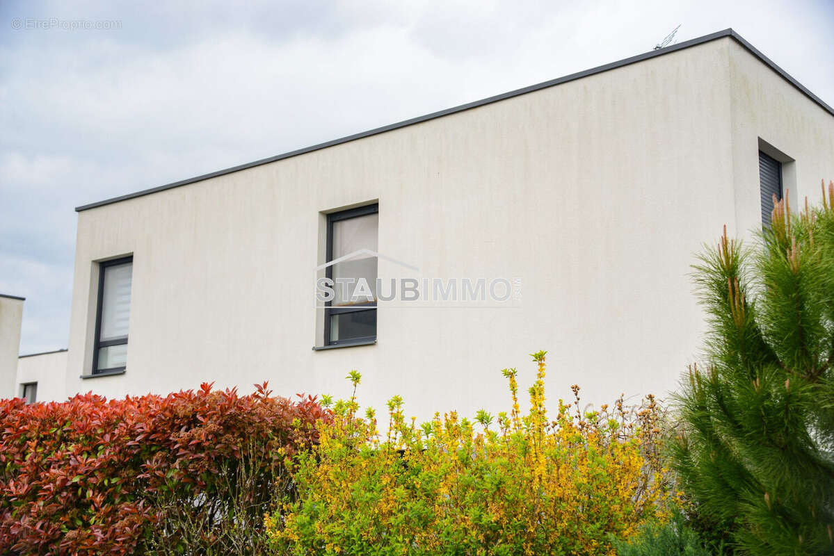 Maison à SAINT-LOUIS