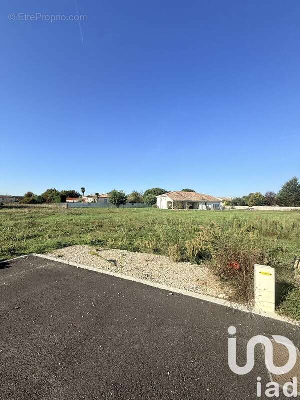Photo 2 - Terrain à MONTAUBAN