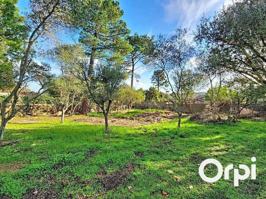 Maison à PORTO-VECCHIO