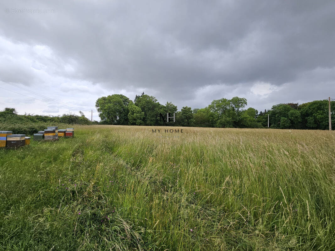 Terrain à VALFRAMBERT