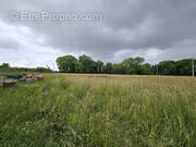 Terrain à VALFRAMBERT