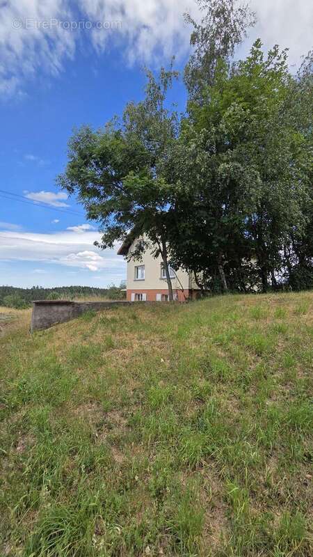 Maison 140 m² à Labaroche  - photo 2