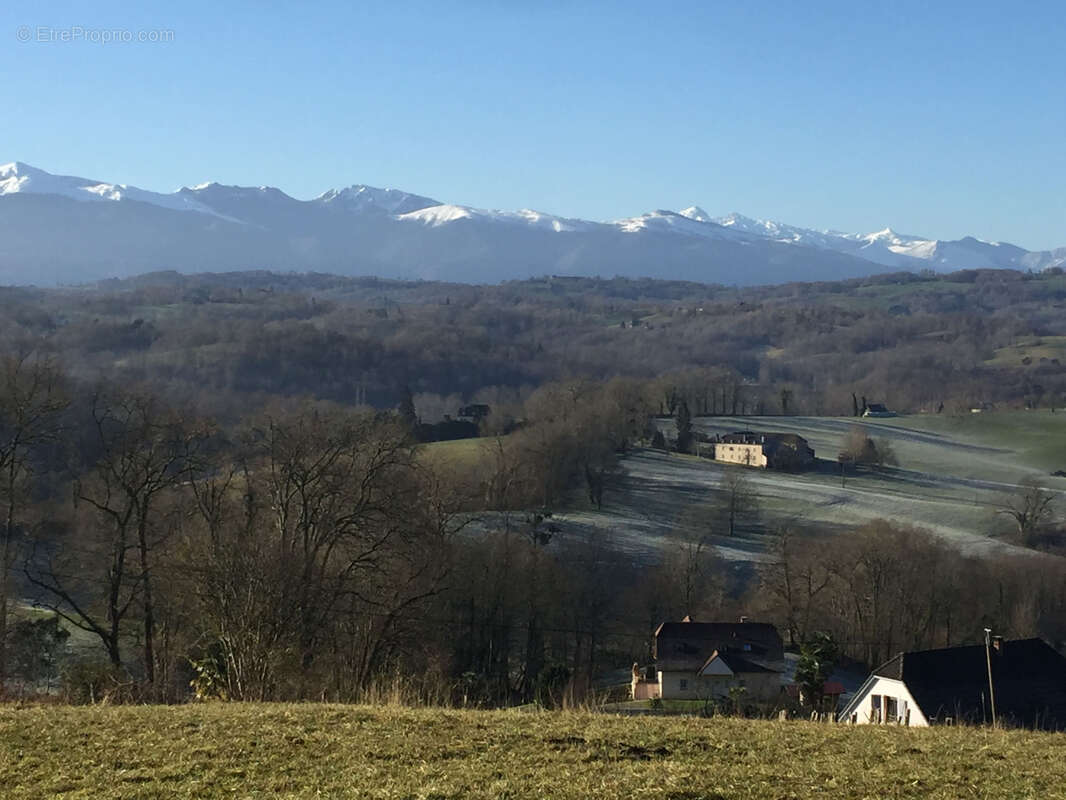 Terrain à LASSEUBE