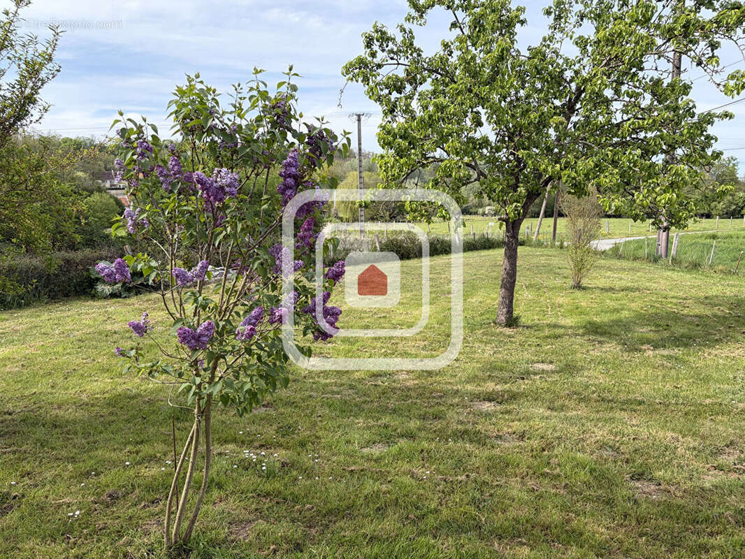 Pavillon de plain-pied - 3 chambres et 1 000 m² de terrain - photo 4