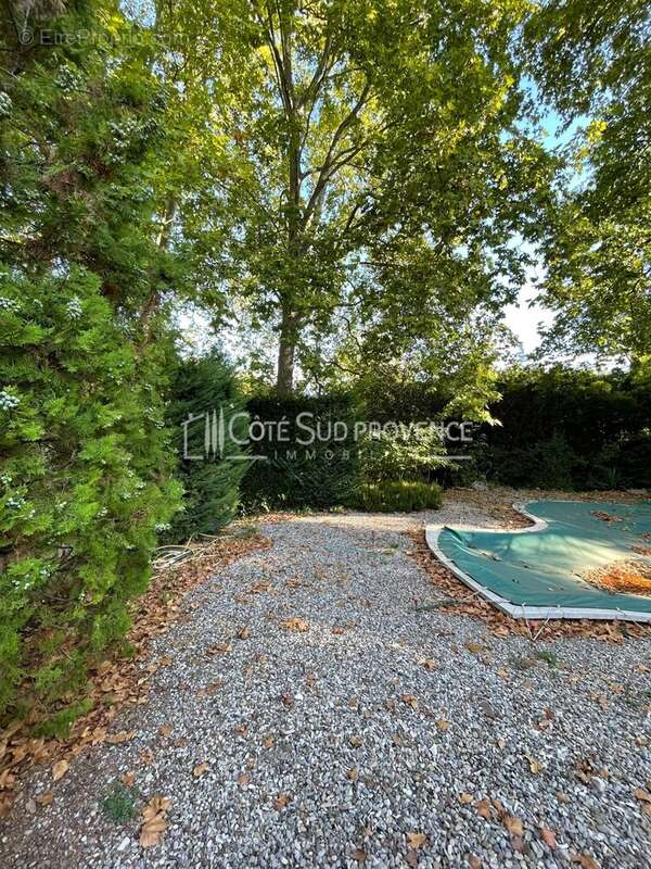 Exclusivite  - saint-didier - maison de maître xixéme - photo 5
