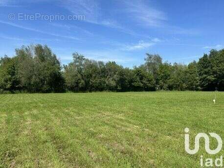 Terrain 2096 m² à Taupont  - photo 2