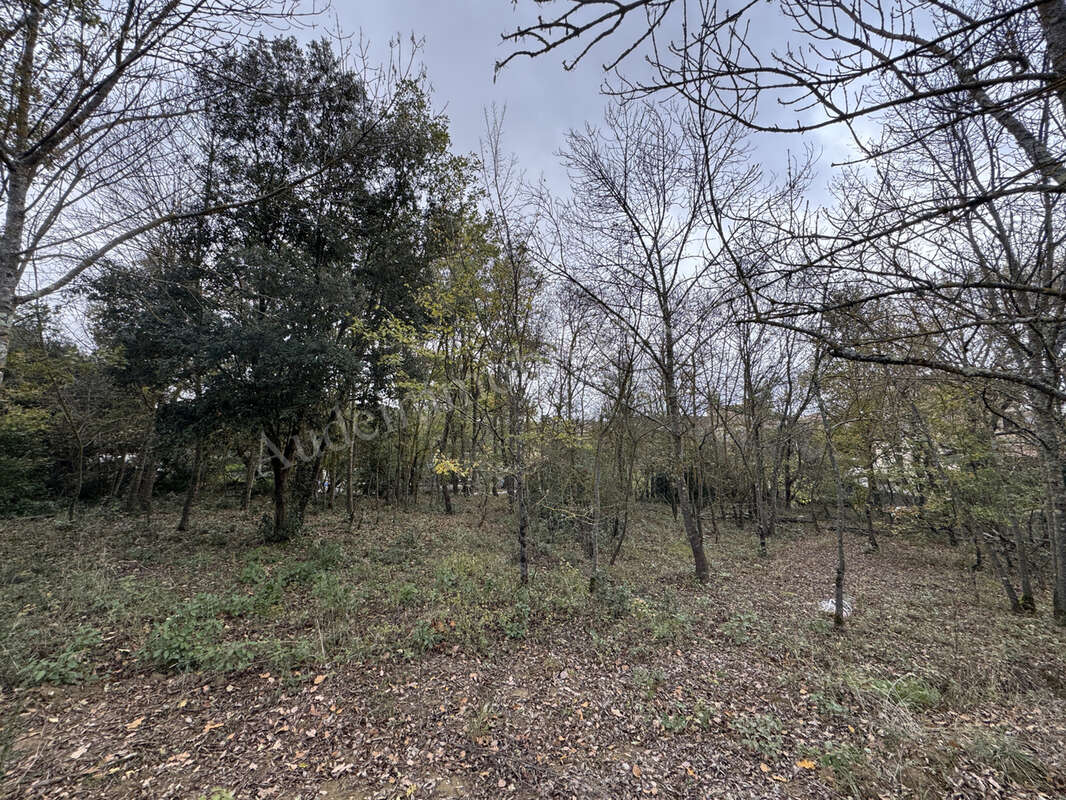Terrain à LIMOUX