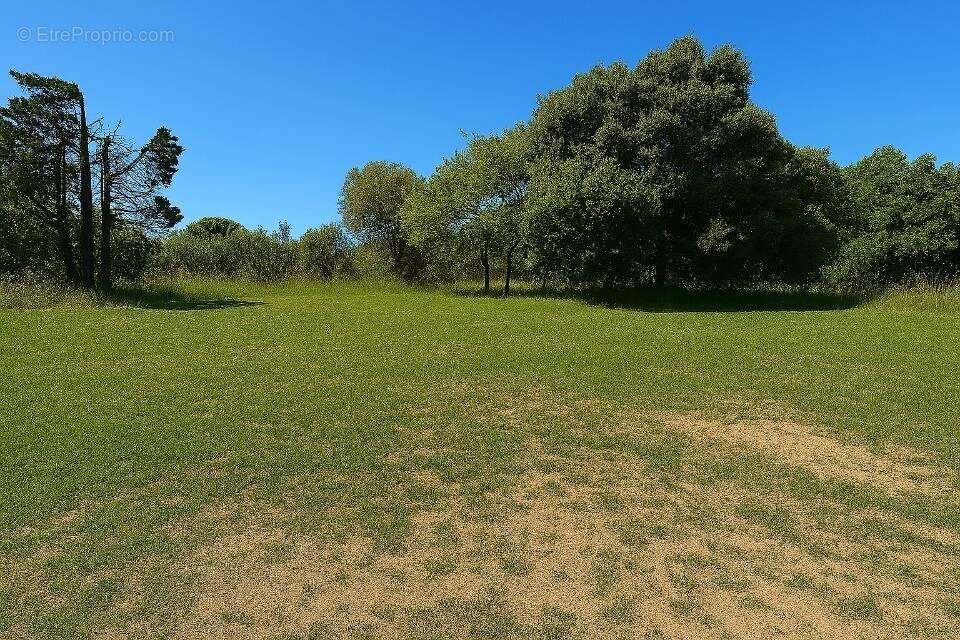Terrain à MUS