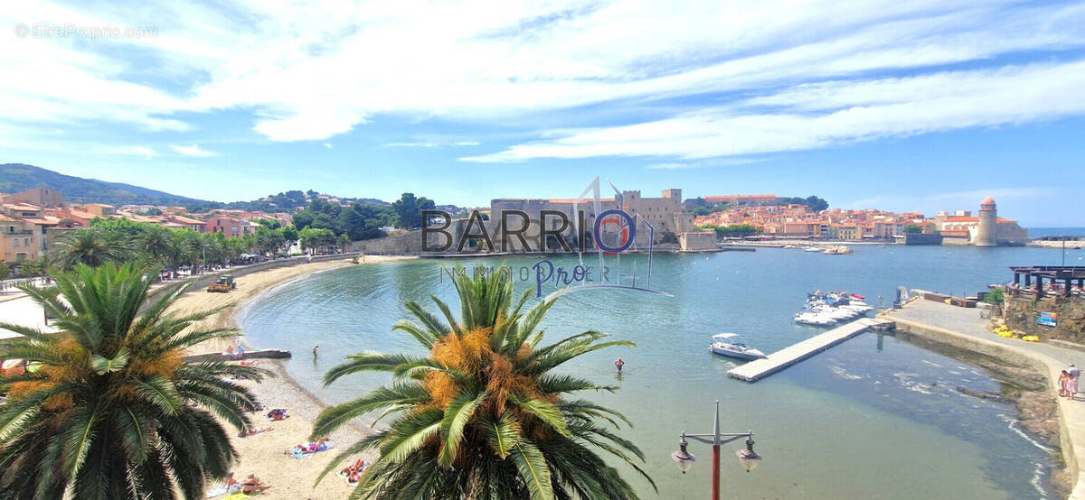Commerce à COLLIOURE