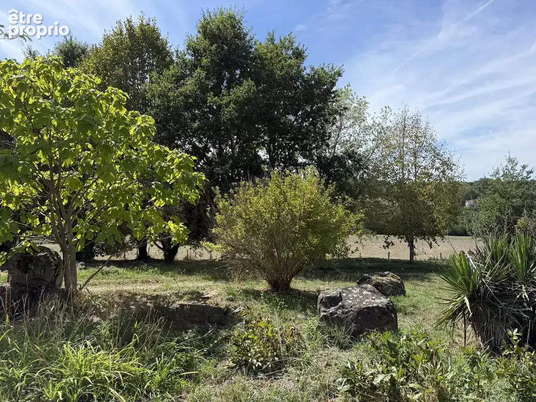 Maison en pierre avec dépendances et terrain - photo 20