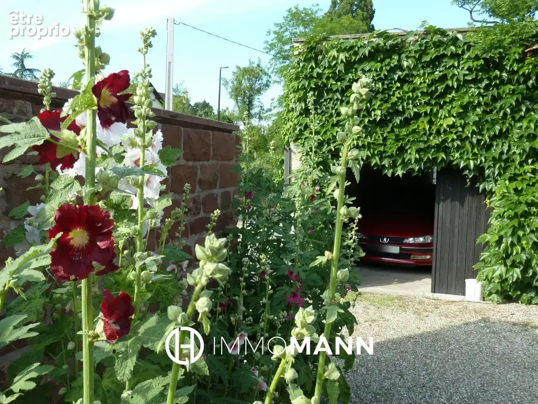 Maison alsacienne de charme - photo 20