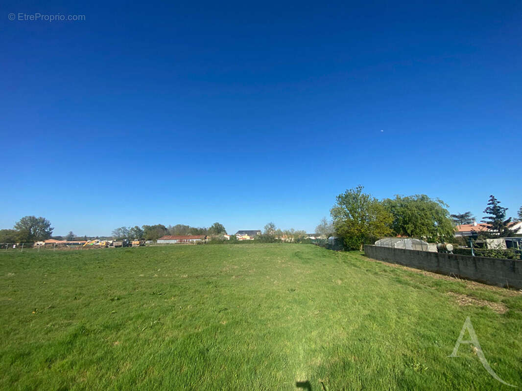 Terrain à CHAVAGNES-EN-PAILLERS