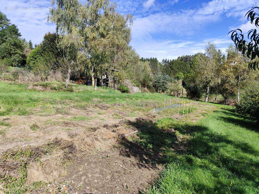 Terrain à LA SEAUVE-SUR-SEMENE