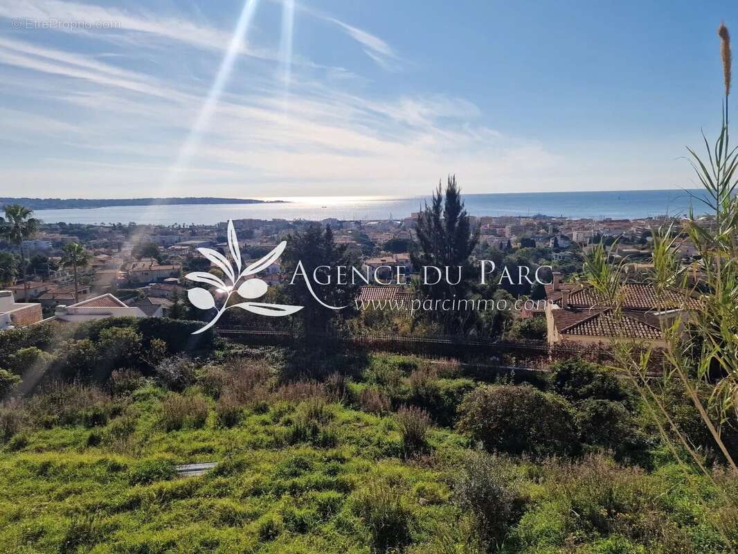 Terrain à VALLAURIS