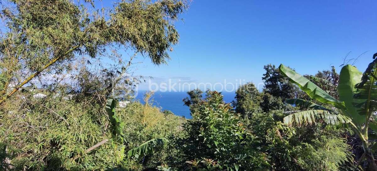 Terrain à SAINT-DENIS