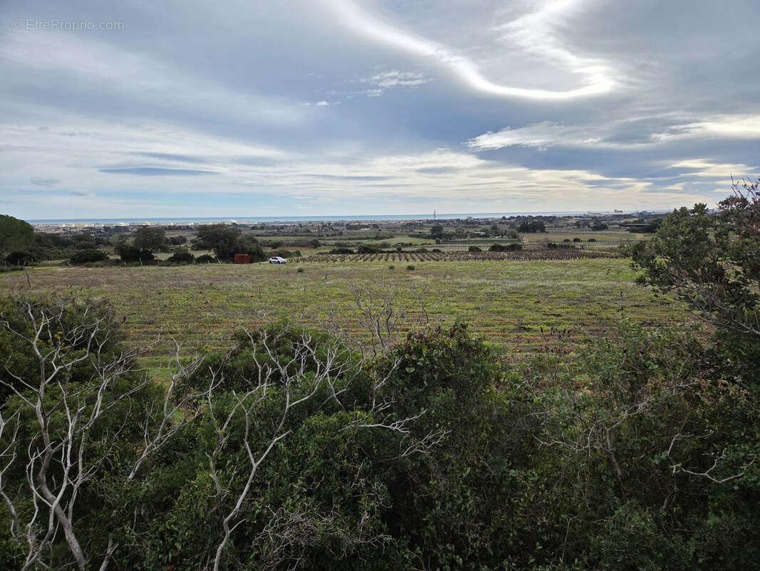 Terrain à FRONTIGNAN