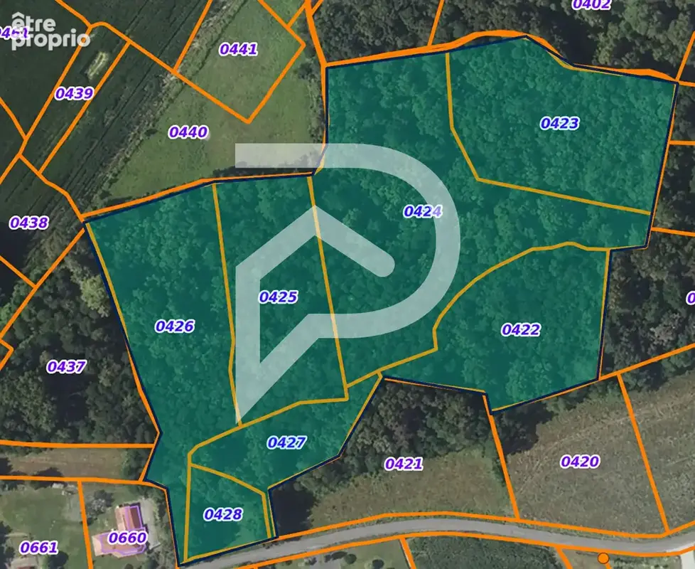 Bois et taillis CAUPENNE 3,45 Hectares - photo 6