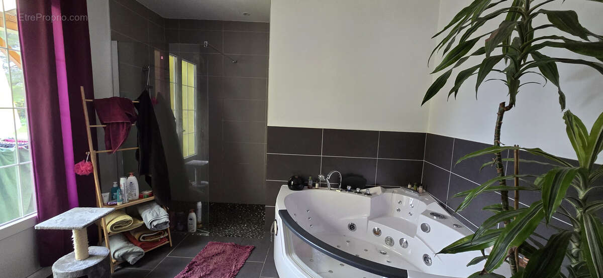 Maison à SAINT-ANDRE-DE-SANGONIS