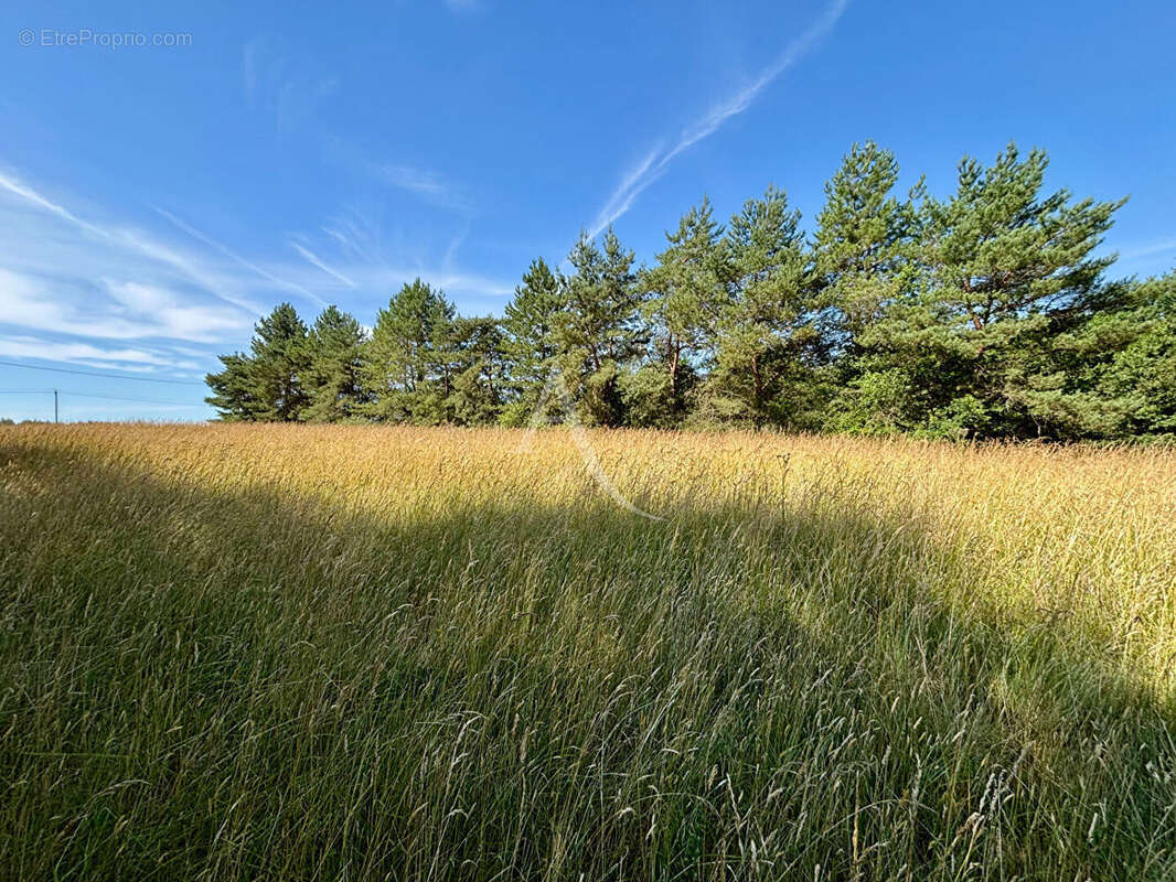 Terrain à CHEMERY