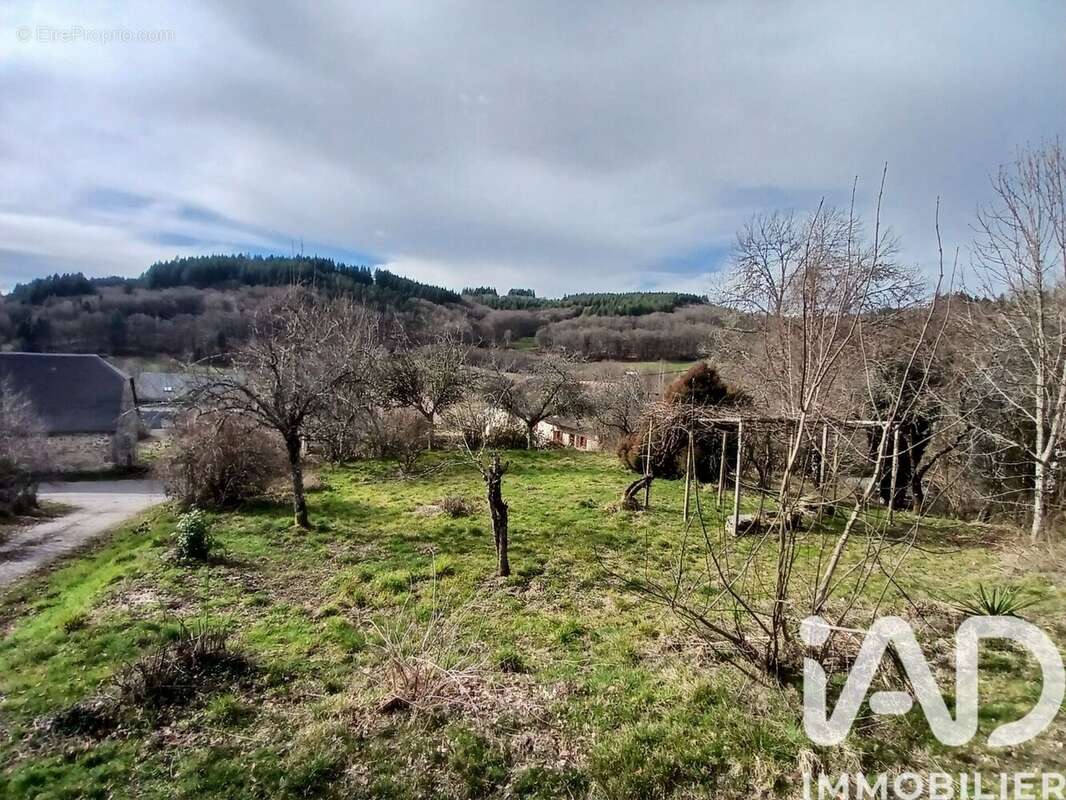 Photo 4 - Maison à EGLETONS