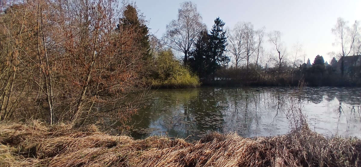 Terrain à FOUSSEMAGNE