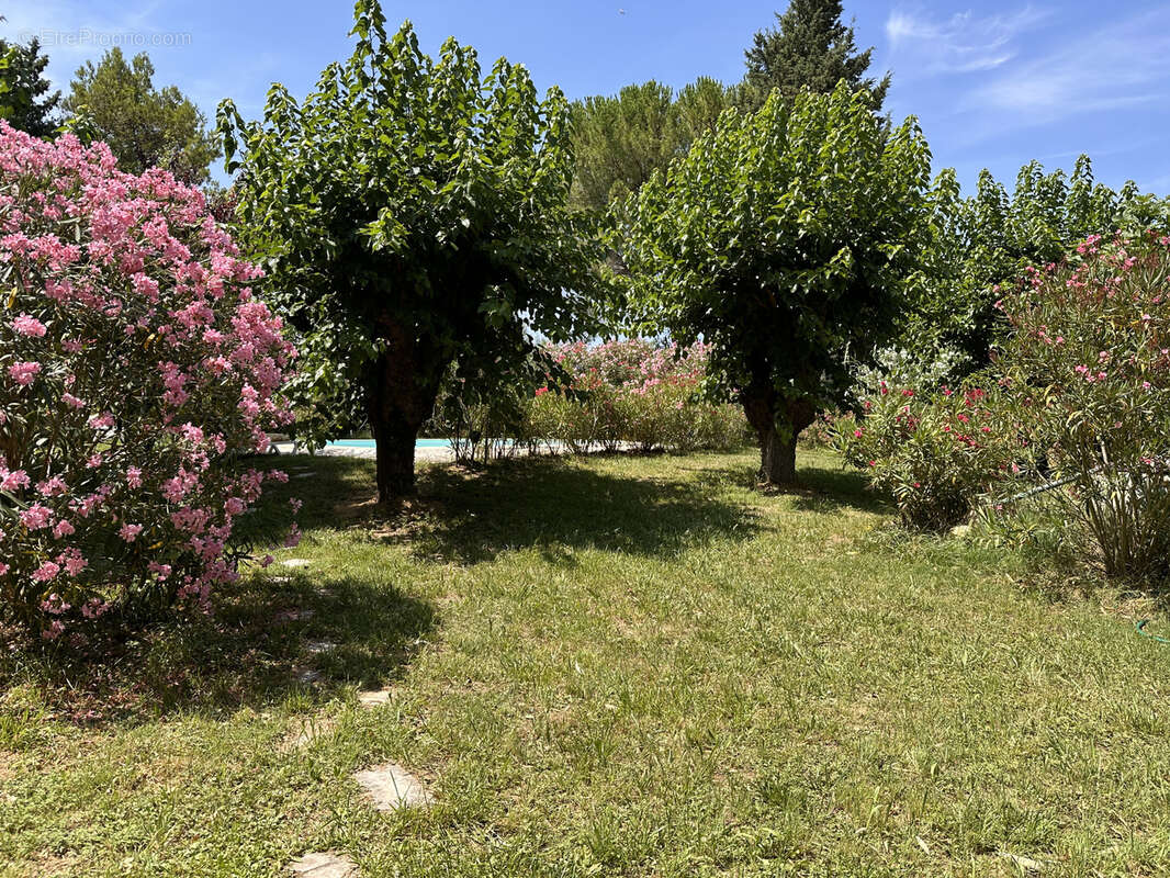 Terrain à SOMMIERES