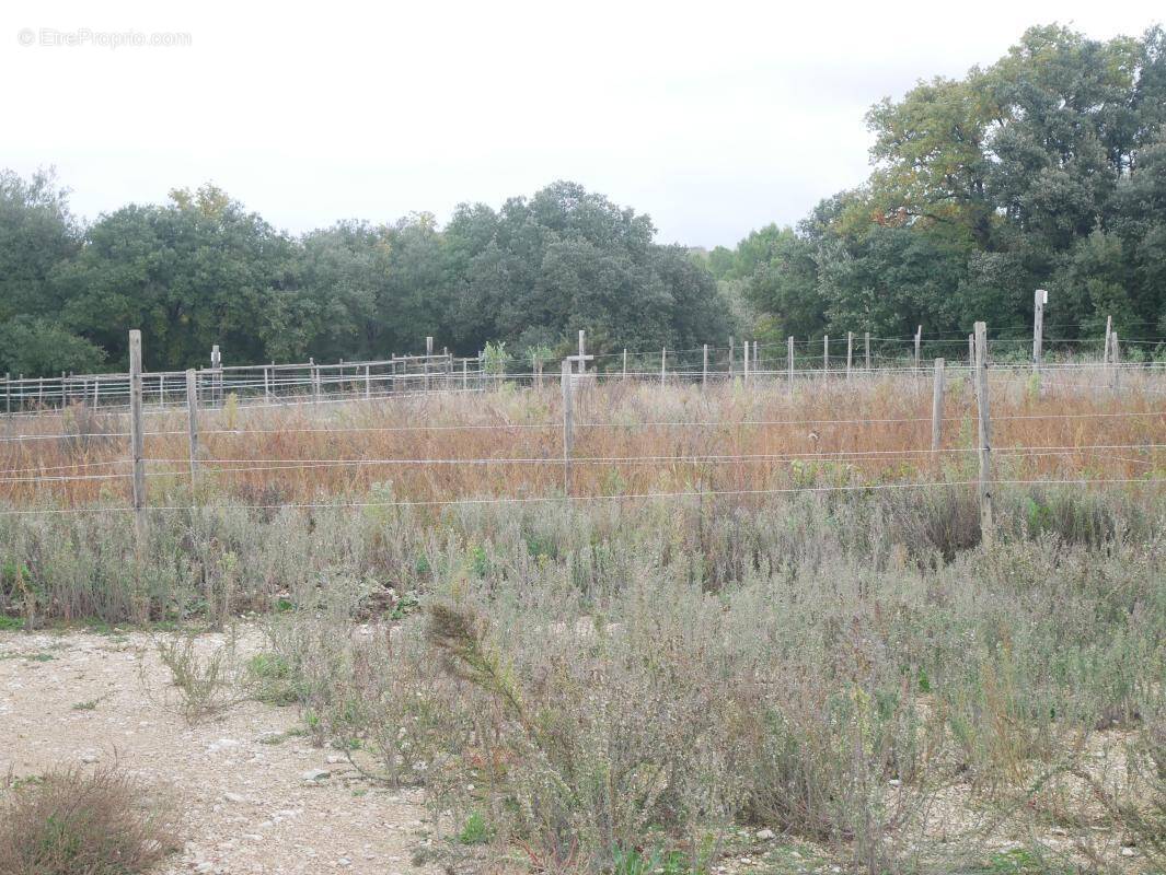Terrain à CASTILLON-DU-GARD