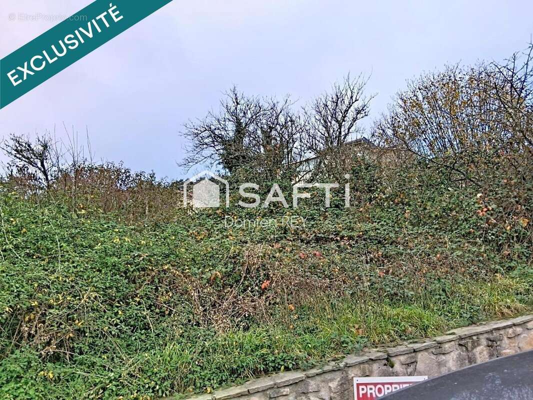 Photo 3 - Terrain à AUREC-SUR-LOIRE