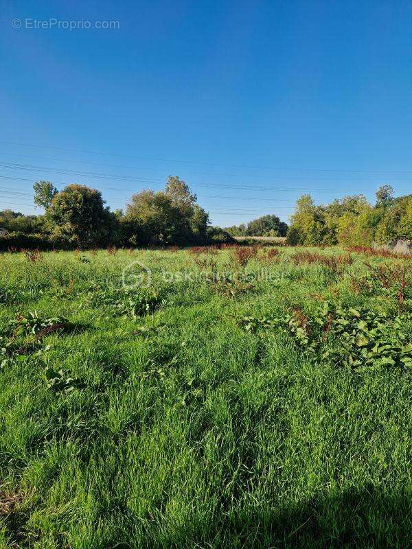 Terrain à GRANZAY-GRIPT