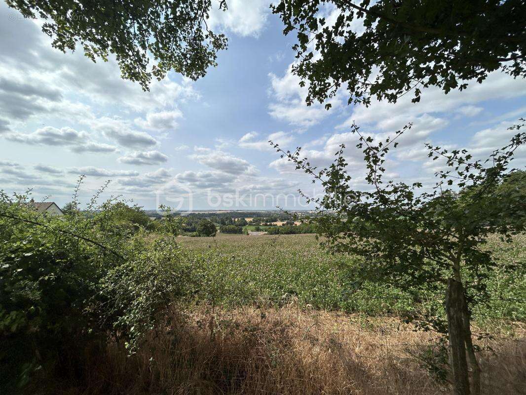 Terrain à BRAINS-SUR-GEE