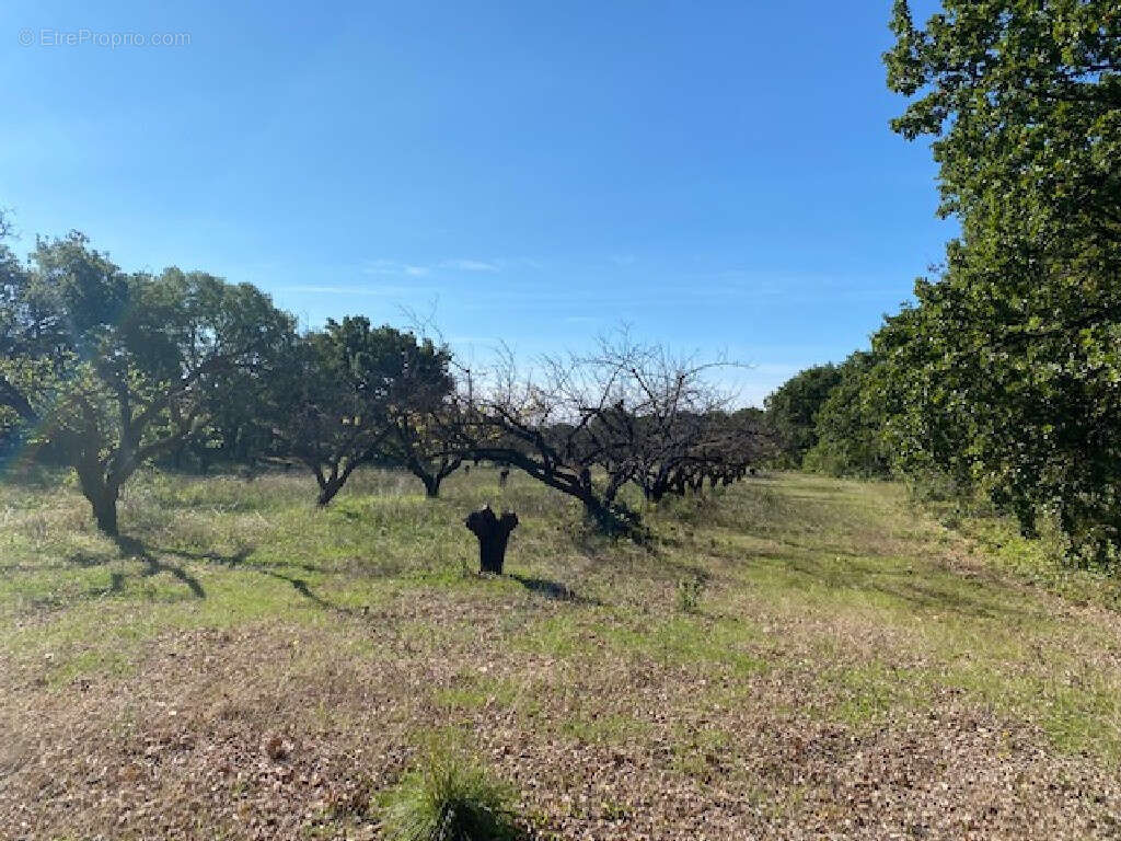 Terrain à UZES