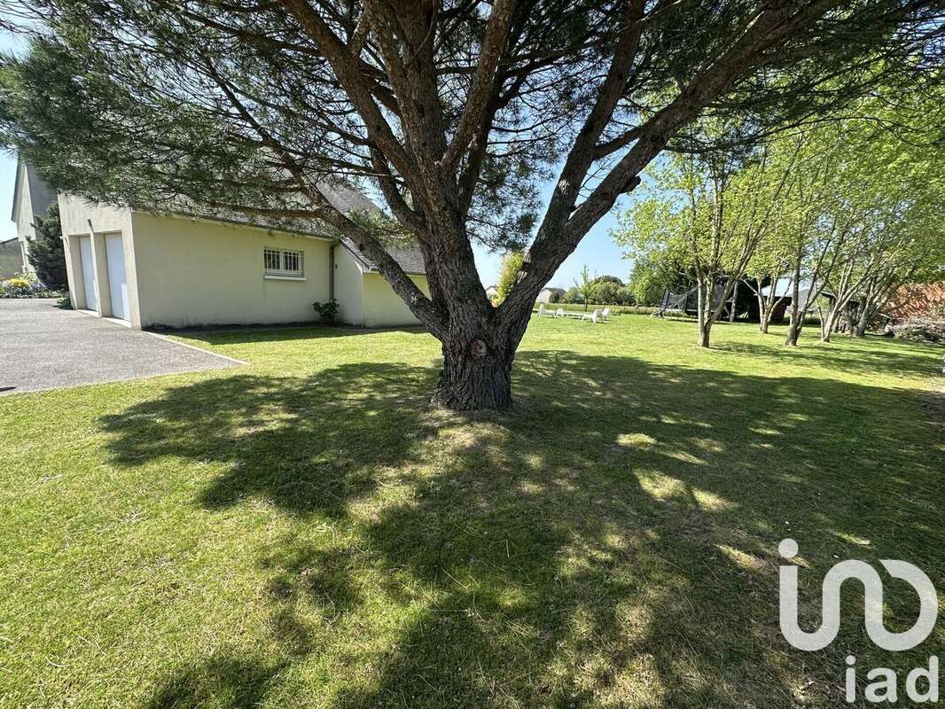 Photo 7 - Maison à NAUCELLE