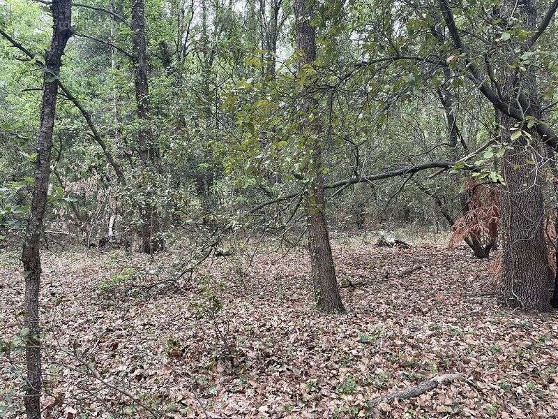 Terrain à MARQUIXANES